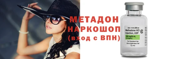 прущие грибы Михайловка