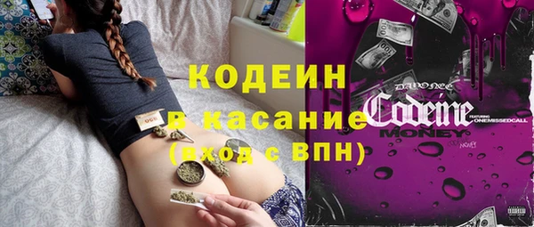 прущие грибы Михайловка