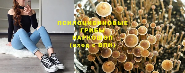 2c-b Михайловск