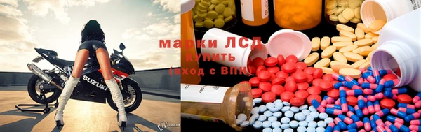 прущие грибы Михайловка