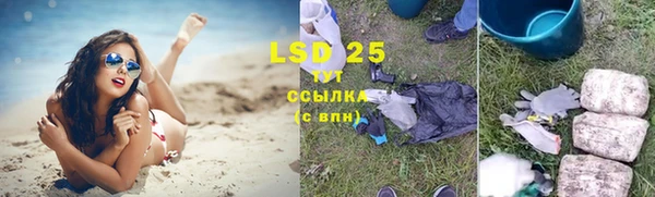 прущие грибы Михайловка