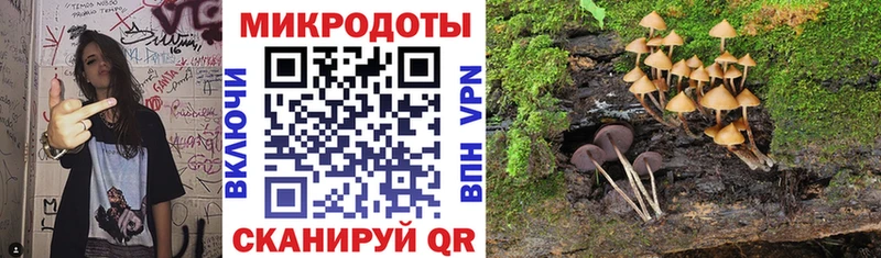 даркнет сайт mega ссылка Псилоцибиновые грибы прущие грибы Екатеринбург